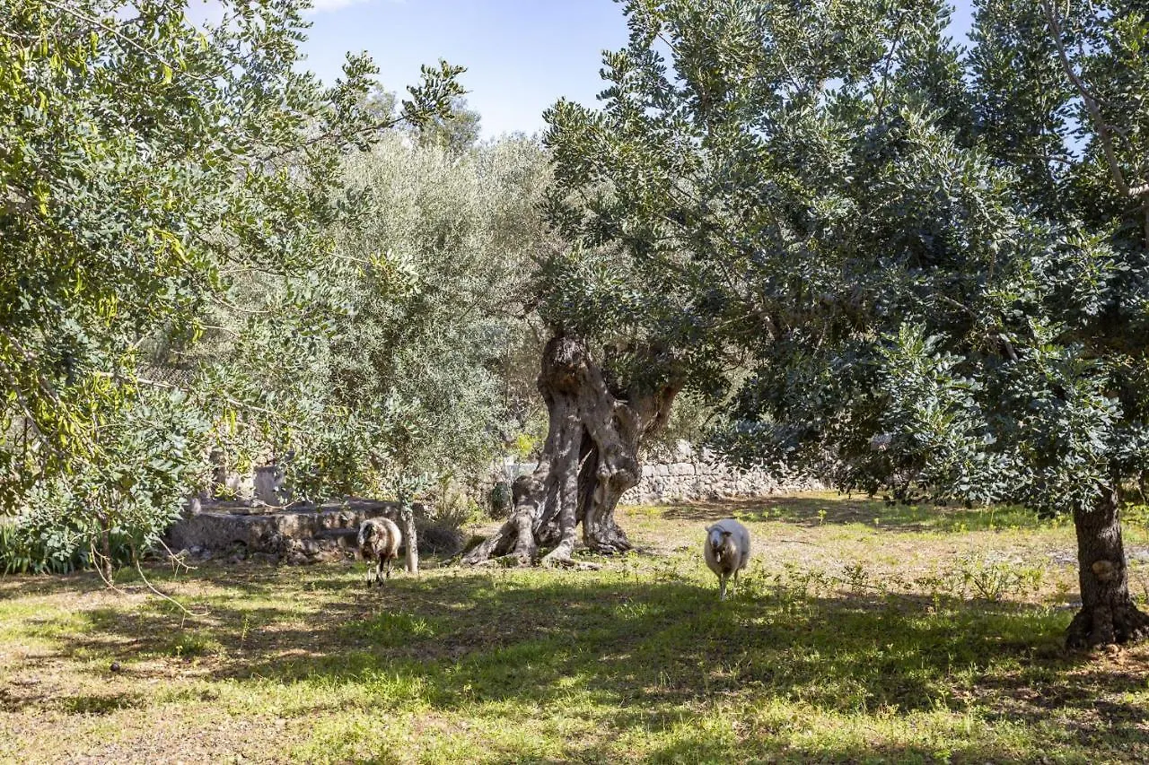 Villa Finca Barons Bunyola Spain