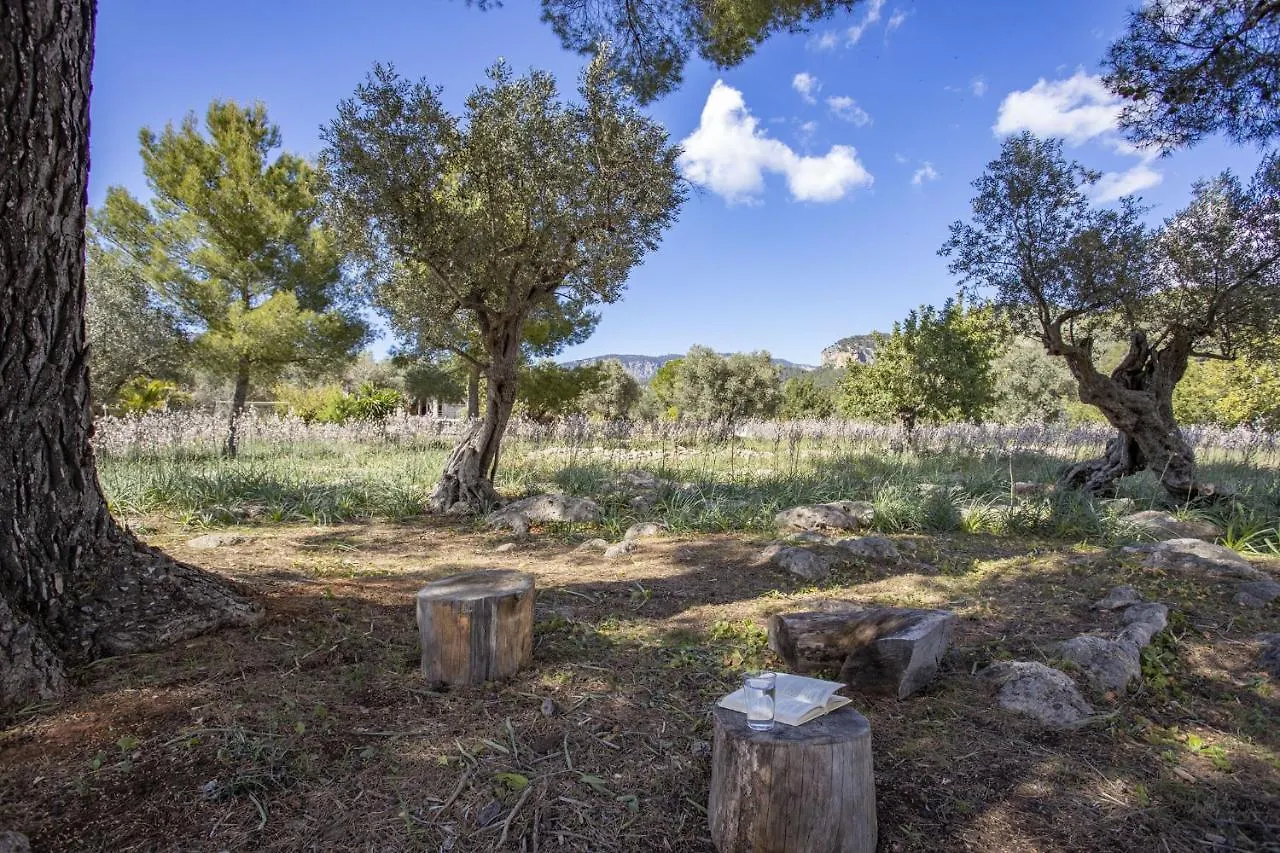 Villa Finca Barons Bunyola